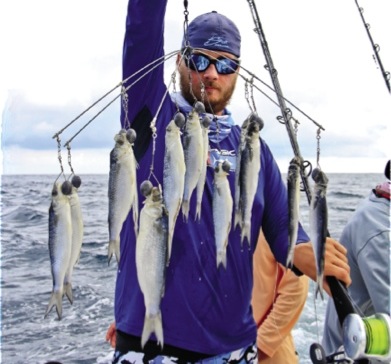 Gamefishing - Using a Dredge Part 2 - The Fishing Website